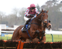 Boxing Day 2014 Fontwell Races