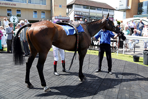 Race2_10th_Fontwell8