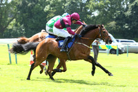 Race1_4th_Fontwell6