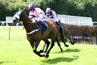 Race2_10th_Fontwell2