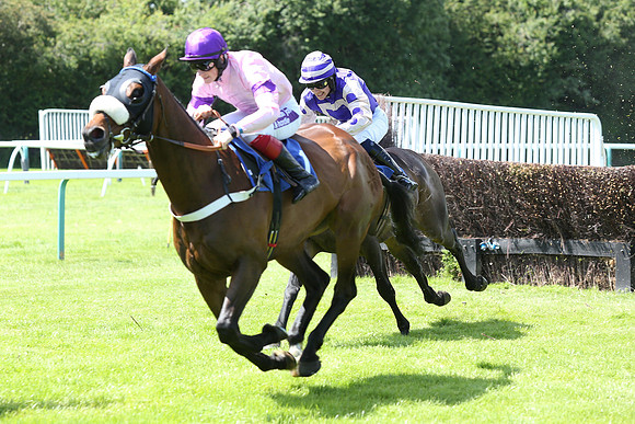 Race2_10th_Fontwell2