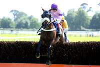 Race2_10th_Fontwell4
