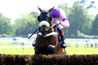Race2_10th_Fontwell3