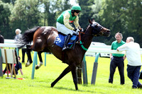 Race1_4th_Fontwell5