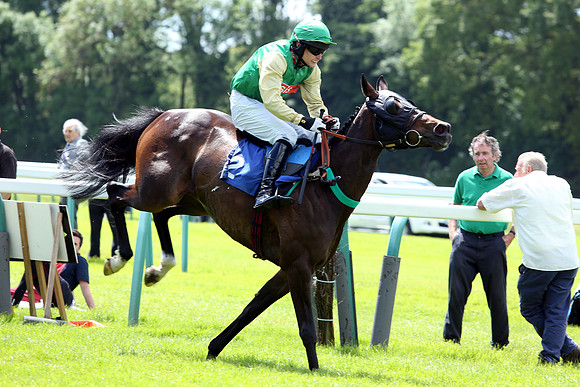 Race1_4th_Fontwell5