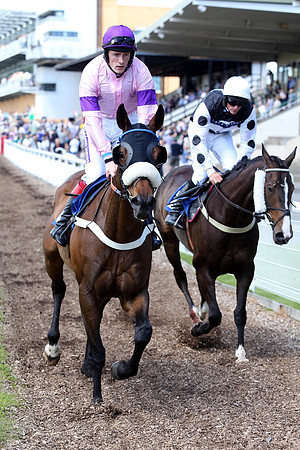 Race2_10th_Fontwell6