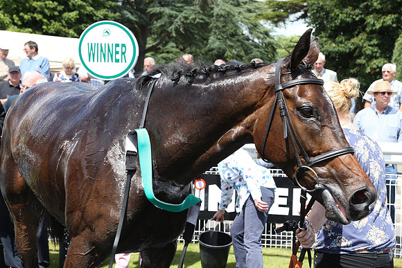 Race1_4th_Fontwell10