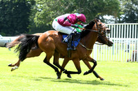 Race1_4th_Fontwell7