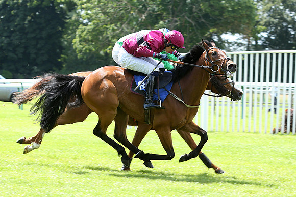 Race1_4th_Fontwell7