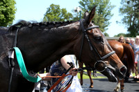 Race1_4th_Fontwell9