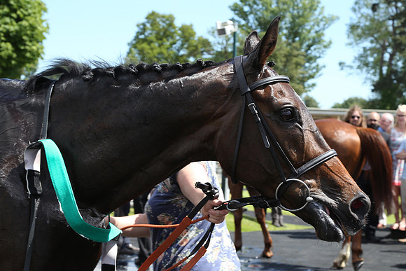 Race1_4th_Fontwell9