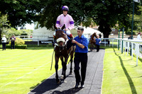 Race2_10th_Fontwell7