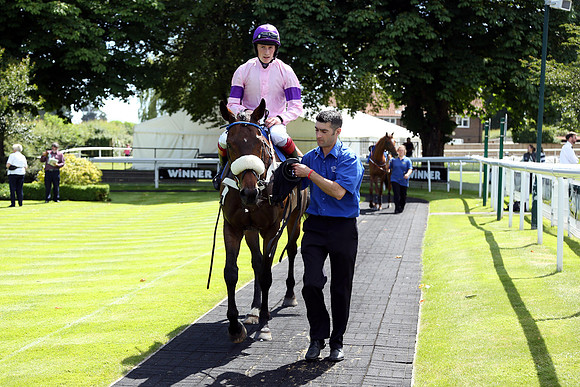 Race2_10th_Fontwell7