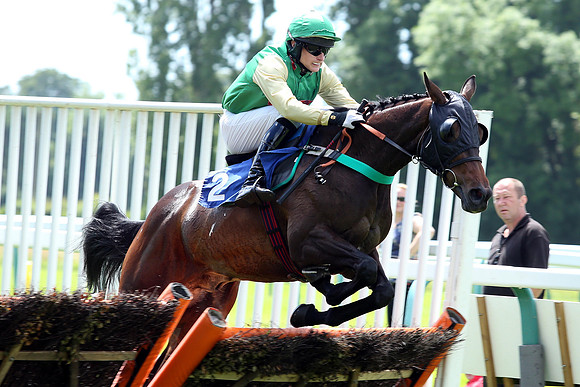 Race1_4th_Fontwell3