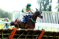 Race1_4th_Fontwell2