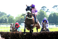 Race2_10th_Fontwell1