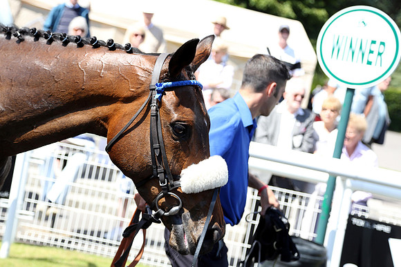 Race2_10th_Fontwell9