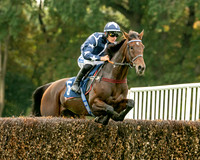 261003 3rd October 2026