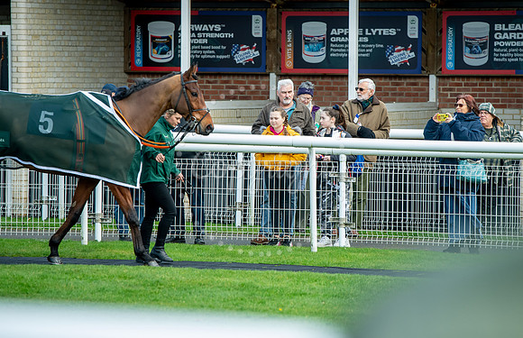 23rd OCTOBER 2020 - FONTWELL