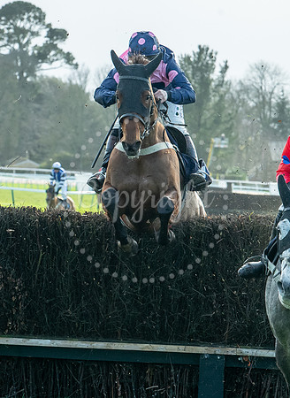 23rd OCTOBER 2020 - FONTWELL
