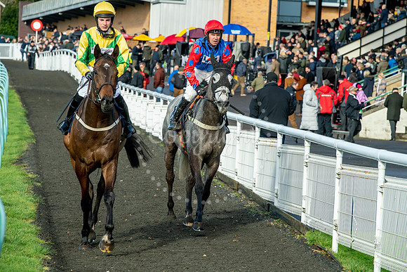 23rd OCTOBER 2020 - FONTWELL