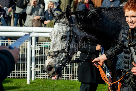 23rd OCTOBER 2020 - FONTWELL