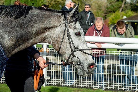 23rd OCTOBER 2020 - FONTWELL