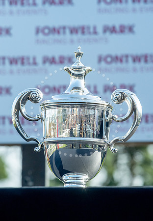 23rd OCTOBER 2020 - FONTWELL
