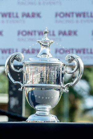 23rd OCTOBER 2020 - FONTWELL