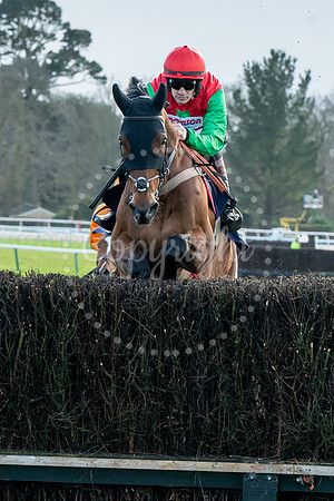 23rd OCTOBER 2020 - FONTWELL