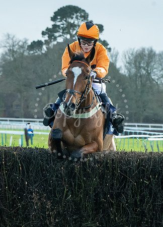 23rd OCTOBER 2020 - FONTWELL