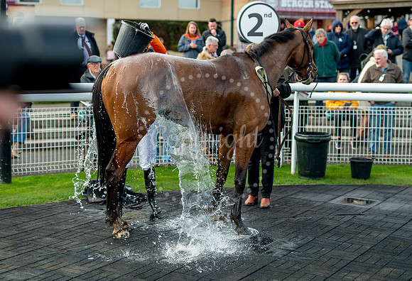 23rd OCTOBER 2020 - FONTWELL