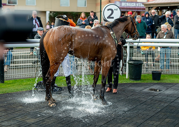 23rd OCTOBER 2020 - FONTWELL