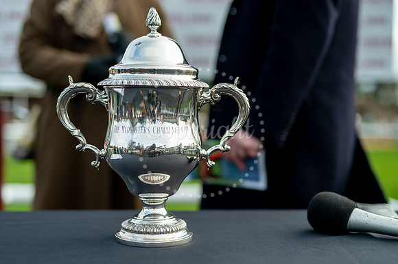 23rd OCTOBER 2020 - FONTWELL