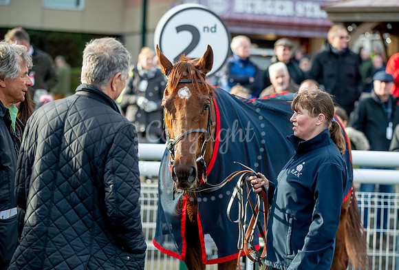 23rd OCTOBER 2020 - FONTWELL