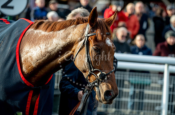 23rd OCTOBER 2020 - FONTWELL