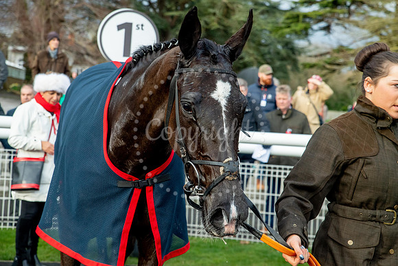 23rd OCTOBER 2020 - FONTWELL