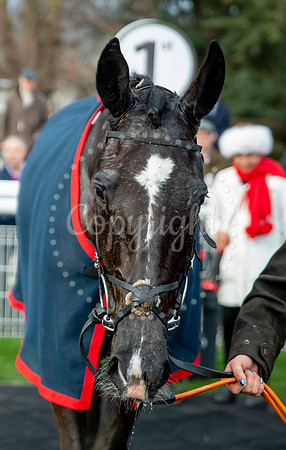 23rd OCTOBER 2020 - FONTWELL