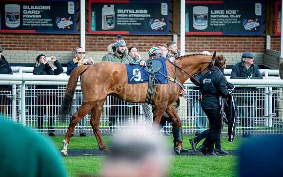 23rd OCTOBER 2020 - FONTWELL
