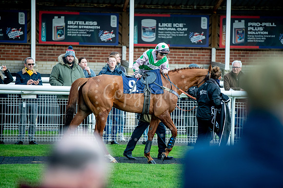 23rd OCTOBER 2020 - FONTWELL
