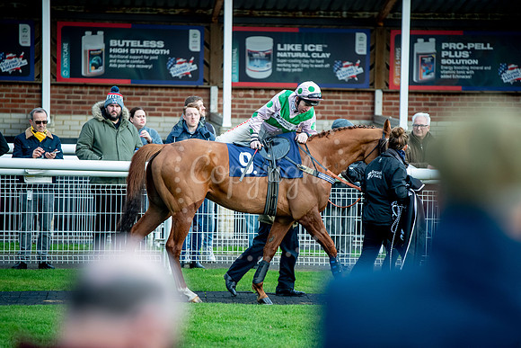 23rd OCTOBER 2020 - FONTWELL