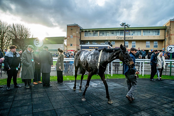23rd OCTOBER 2020 - FONTWELL
