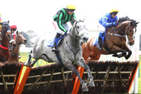 1st April 2016 Fontwell Races