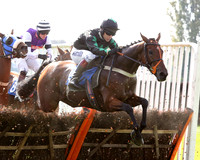 3rd Oct 2014 Fontwell Races