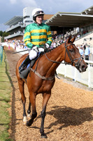 29th August Fontwell 2013