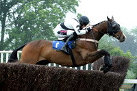11th June Fontwell 2013