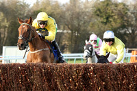 Race2_23rd_Feb_Fontwell1