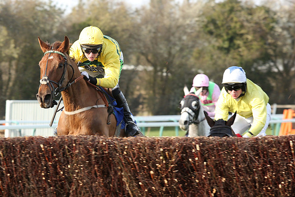 Race2_23rd_Feb_Fontwell1
