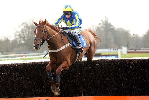 Race1_23rd_Feb_Fontwell7