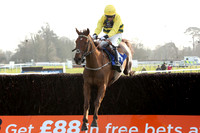 Race2_23rd_Feb_Fontwell5